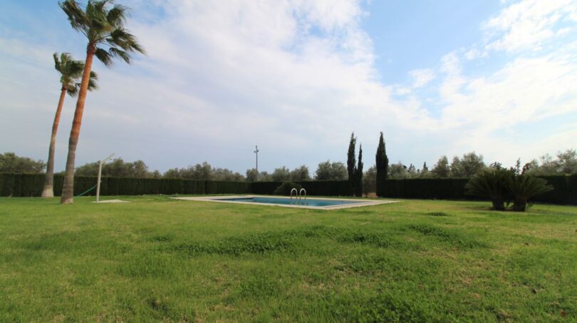 Weitläufiger Garten der Neubau-Finca in Son Llebre mit rechteckigem Pool, Palmen und Zypressen.