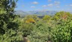 Weitläufiger Garten der Finca bei Inca mit üppiger Vegetation und Blick auf die mallorquinischen Berge.