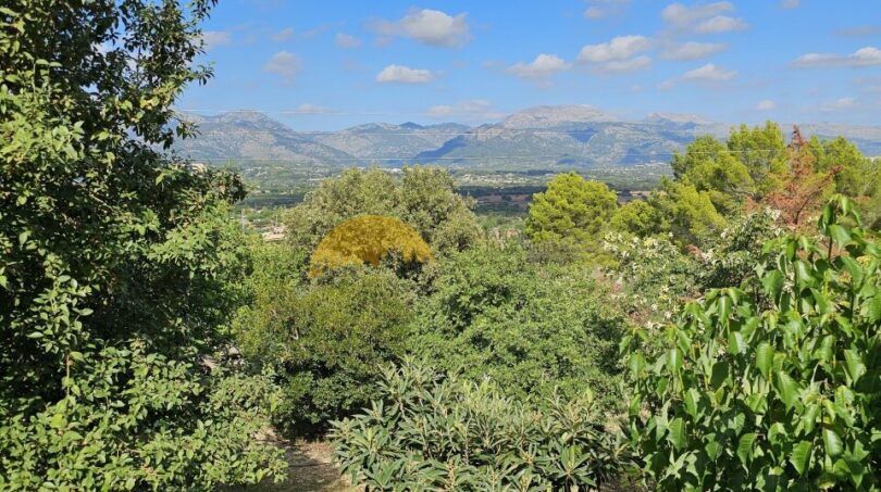 Weitläufiger Garten der Finca bei Inca mit üppiger Vegetation und Blick auf die mallorquinischen Berge.