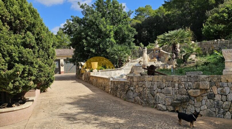 Gepflasterter Einfahrtsbereich der Finca bei Inca mit Natursteinmauer, üppigem Grün und dekorativen Skulpturen.