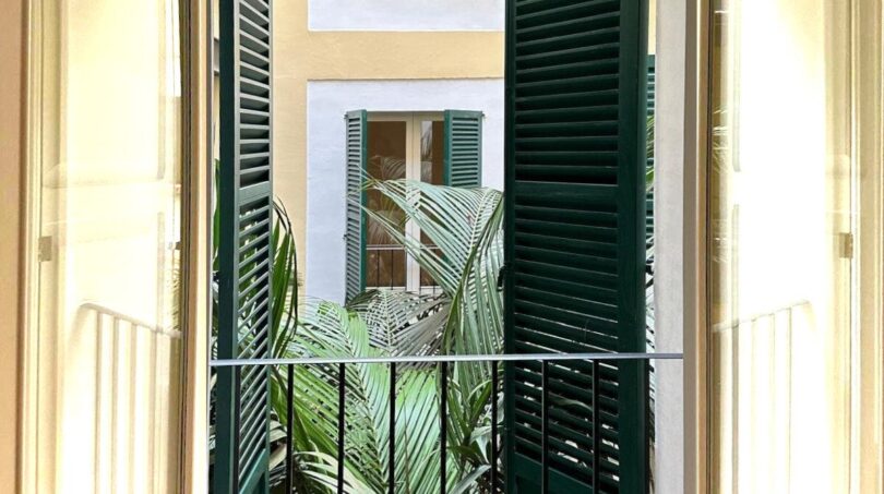 Balkon mit grünen Fensterläden und Palmenblick im mediterranen Innenhof, renovierte Wohnung Palma de Mallorca