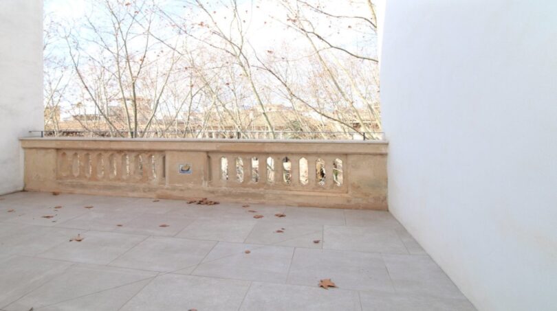 Espaciosa terraza de azotea con balaustrada de piedra histórica y vista de árboles desnudos, ático Paseo del Borne Palma