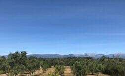 Rustikale Finca mit Pool, Weitblick und großem Obstgarten