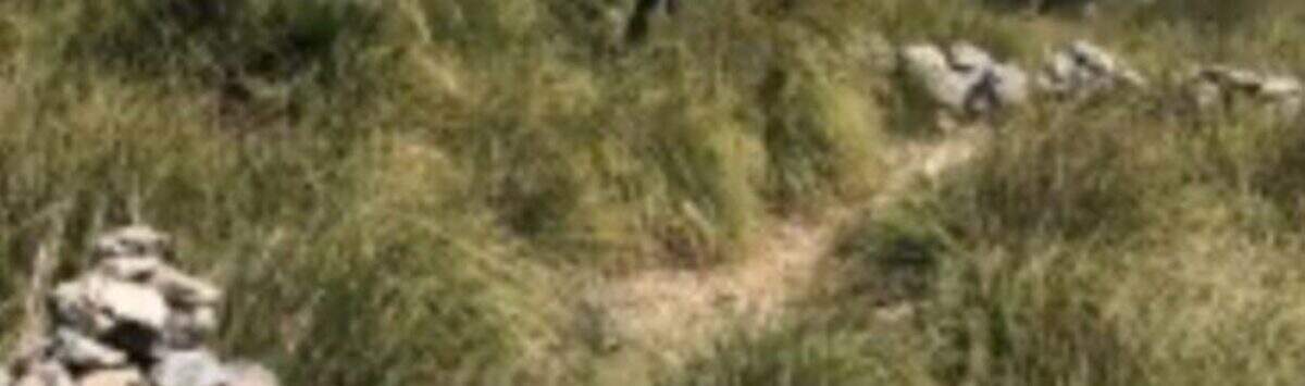 Bild zum Objekt: Investitionsprojekt: Finca zur Renovierung zu kaufen; 3 Gebäude