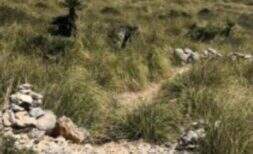 Finca for renovation with complete mountain half in Artà