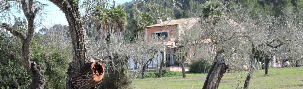 Bild zum Objekt: Finca mit 5 Zimmern, 4 Bädern, Terrassen und Pool zu mieten