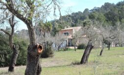 Traumfinca, Traumblick, Traumausstattung bei Petra