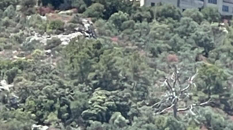 Ubicación imponente en ladera con vista lejana inobstruida - idilio natural se encuentra con arquitectura