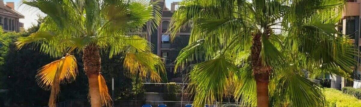 Bild zum Objekt: 83m² Penthouse mit 3 SZ, 2 Bädern und Dachterrasse zu kaufen