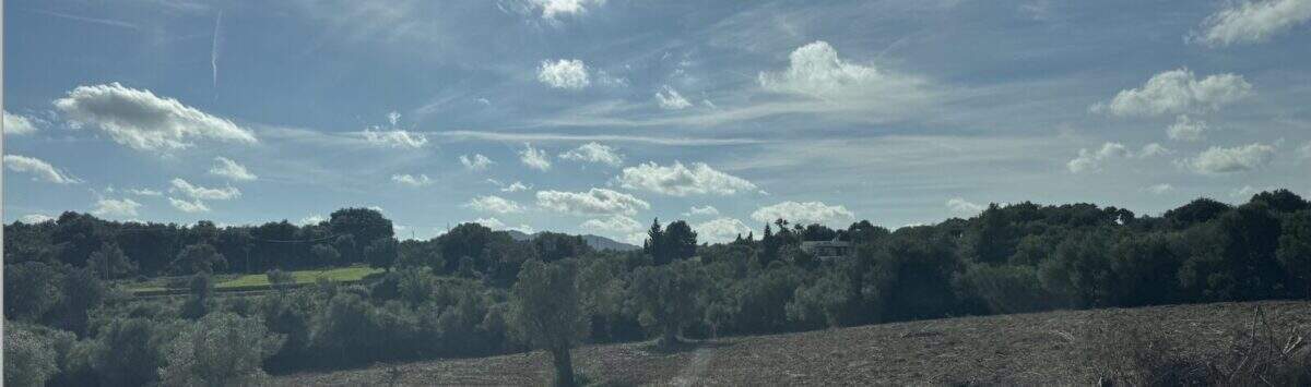 Bild zum Objekt: 3 Grundstücke, gesamt 13.596m² nahe Artà