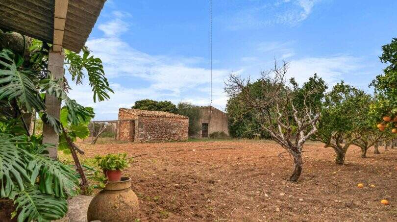 Garten Investment Felanitx