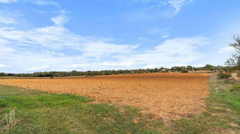 Grundstück Immobilien Mallorca