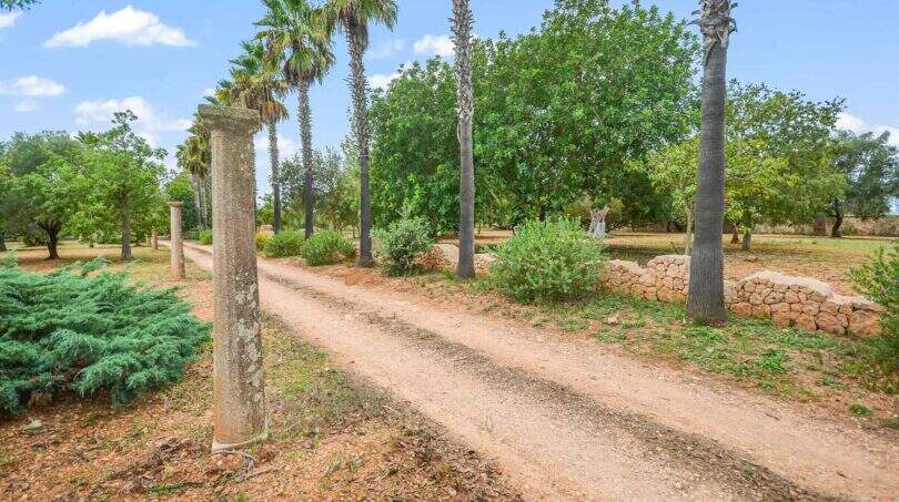 Finca kaufen in Felanitx Naturstein