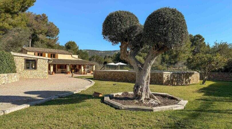 Finca rustica Pool Tramuntana