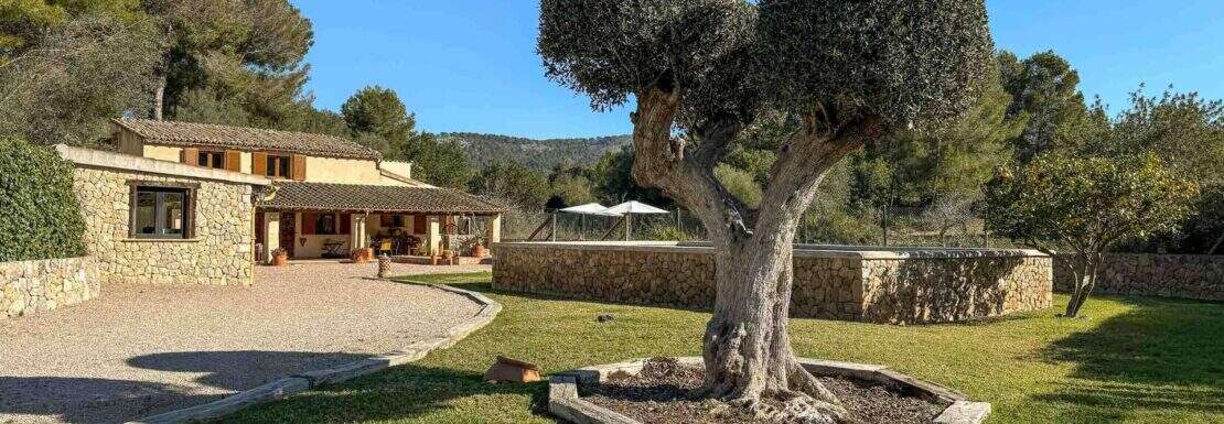 Finca rustica Pool Tramuntana