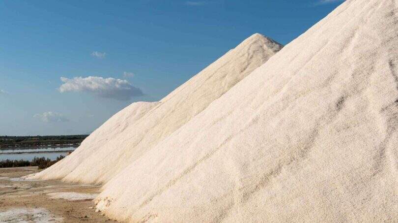 Immobilien Ses Salines