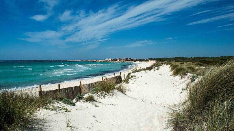 Immobilien Ses Salines