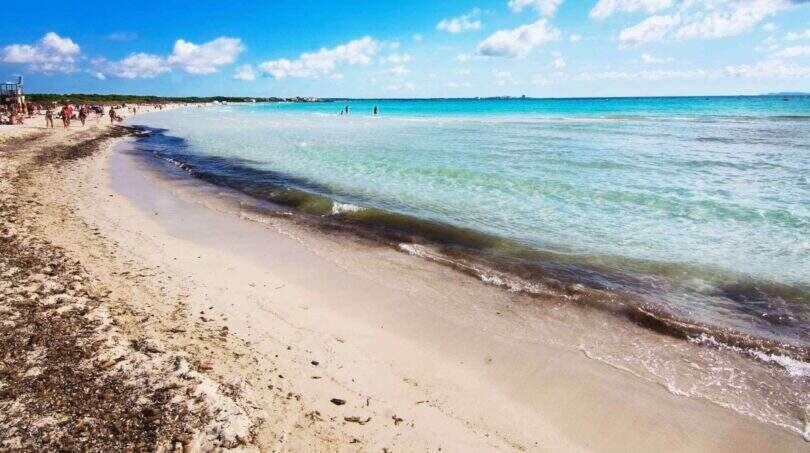 Immobilien Ses Salines