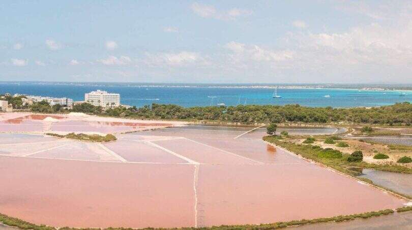 Immobilien Ses Salines