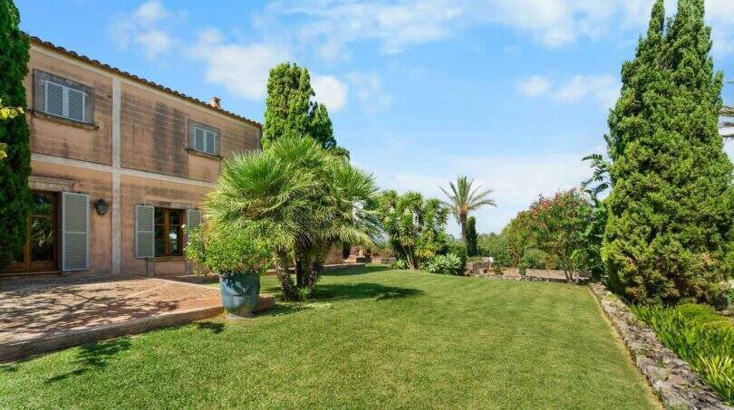 Garten mit Grass un Palmen Felanitx