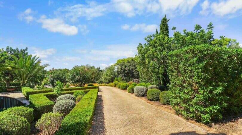 Grüne Garten Felanitx