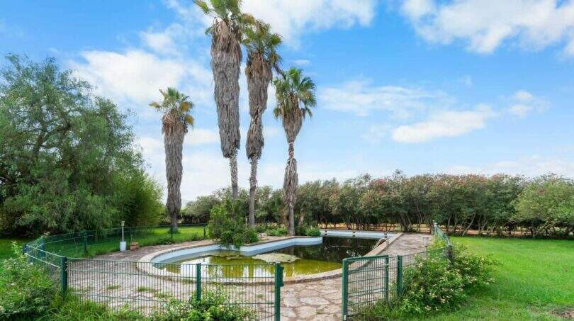 Pool mit Garten luxus