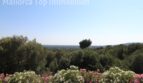 Panoramablick der Finca in Llucmajor: Oleander, Pinien und weite Landschaft Richtung Hexenberg.
