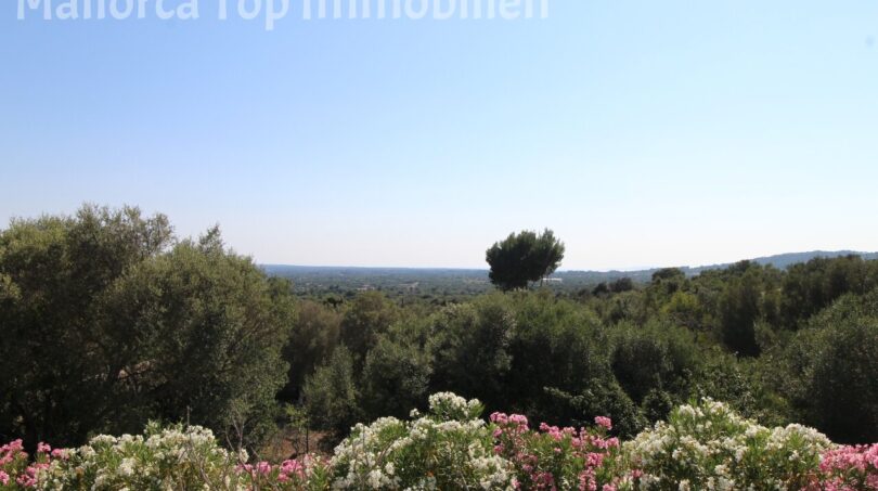 Panoramablick der Finca in Llucmajor: Oleander, Pinien und weite Landschaft Richtung Hexenberg.