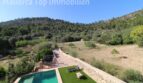 Finca Llucmajor: Pool mit Liegewiese, Natursteinmauer und Blick auf bewaldeten Hexenberg unter blauem Himmel.