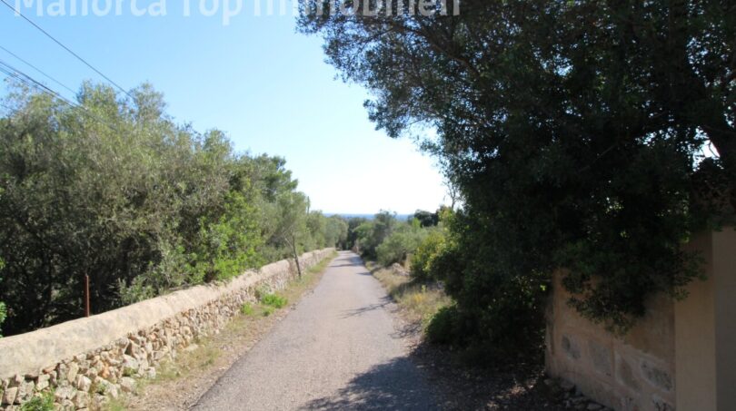 Schmaler Landweg zur Finca in Llucmajor, gesäumt von Natursteinmauern und mediterraner Vegetation.