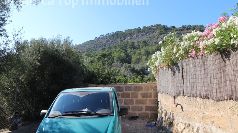 Parkplatz der Finca in Llucmajor mit Blick auf den bewaldeten Hexenberg und blühenden Oleander.
