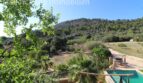 Außenansicht Finca Llucmajor: Pool, Palmen und Naturgarten mit Blick auf bewaldeten Hexenberg.