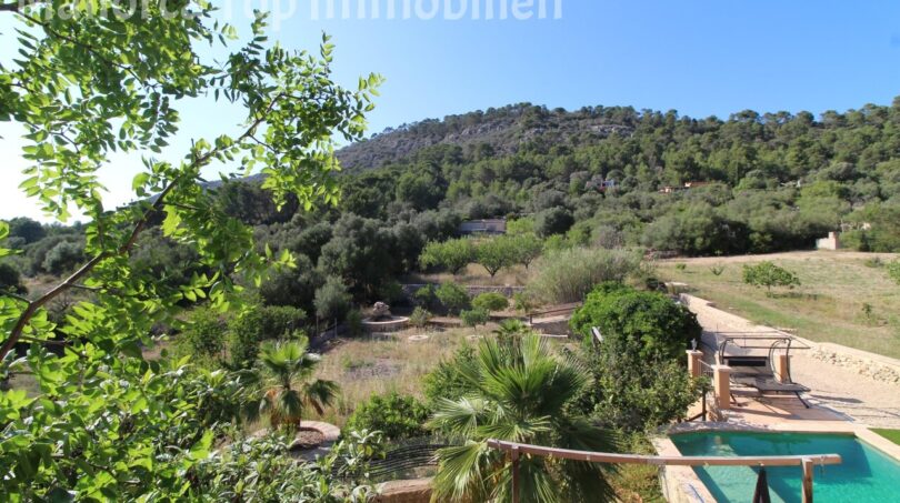 Außenansicht Finca Llucmajor: Pool, Palmen und Naturgarten mit Blick auf bewaldeten Hexenberg.