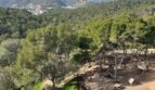 Panoramablick auf Spielplatz, Pinienwald und Berge von Palma de Mallorca mit blauem Himmel.