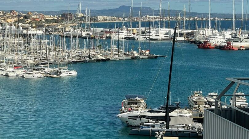 Blick auf den Hafen von Palma mit Yachten, türkisblauem Wasser und Palmen vor Bergpanorama