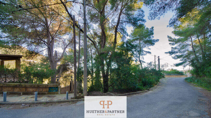 DSC_7531-Editar-Editar (1)