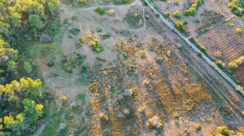 Investment Immobilien Mallorca