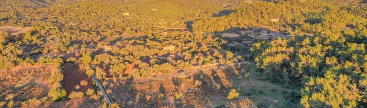 Bild zum Objekt: 22.954m² Baugrundstück mit Bauprojekt in Felanitx zu kaufen