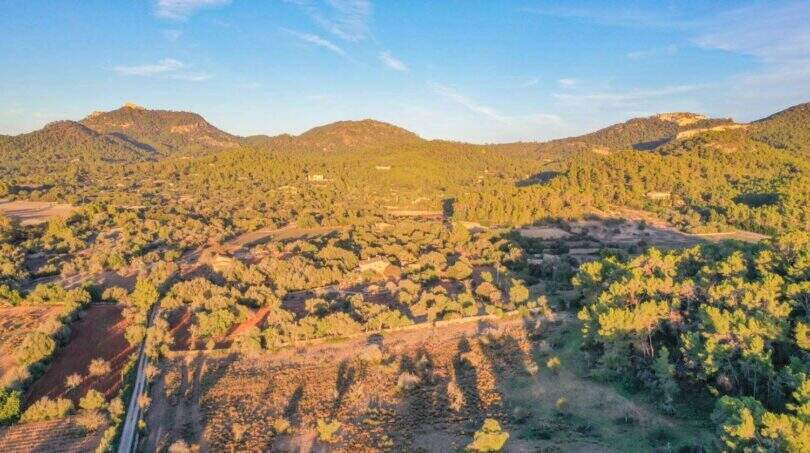 Investment felanitx Neubau