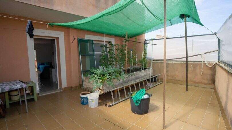Breite Terrasse Immobilien Mallorca