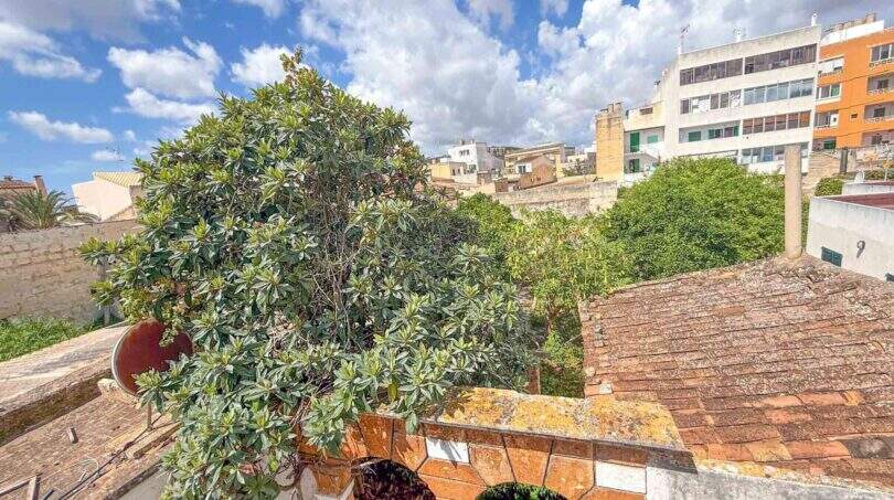 Immobilien Mallorca kaufen in Felanitx