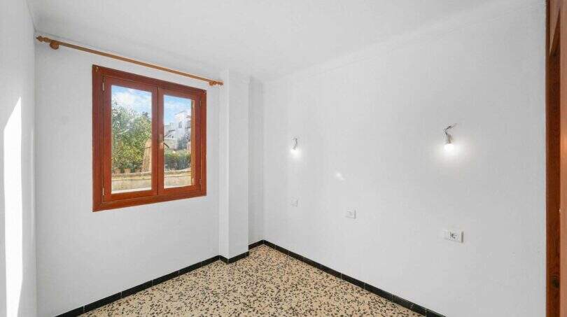 WhatsApp Image 2026-02-17 at 2.33.58 AM