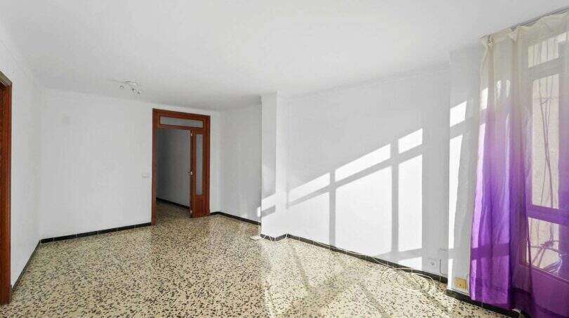 WhatsApp Image 2026-02-17 at 2.33.59 AM