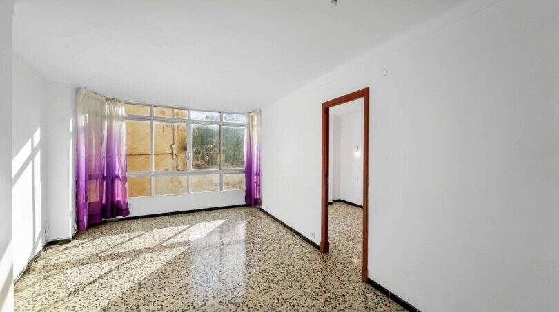 WhatsApp Image 2026-02-17 at 2.33.59 AM (1)