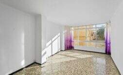 Investment opportunity in Felanitx - property with two separate houses