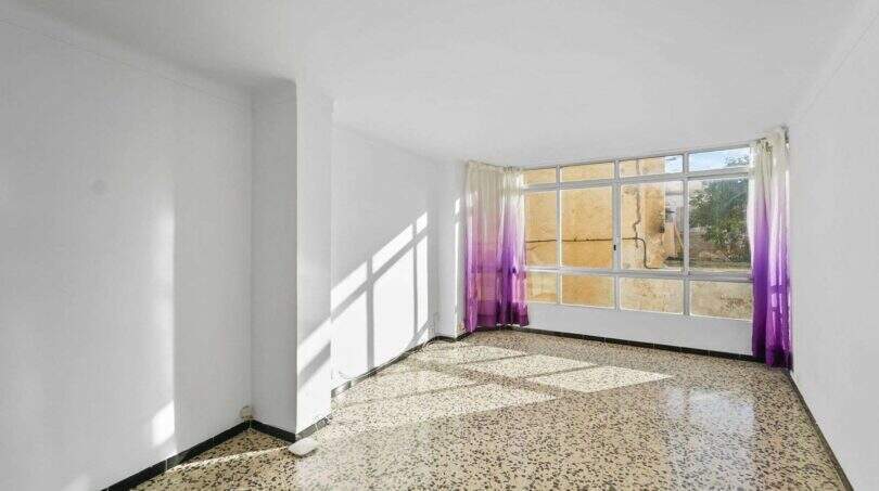 WhatsApp Image 2026-02-17 at 2.33.58 AM (1)