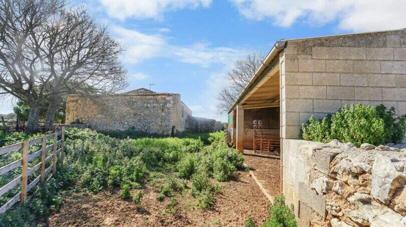 Weitläufige Rustikafarm (2)