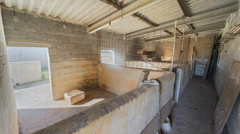 Weitläufige Rustikafarm (23)