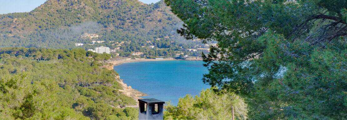 DSC_7573-Editar (1)