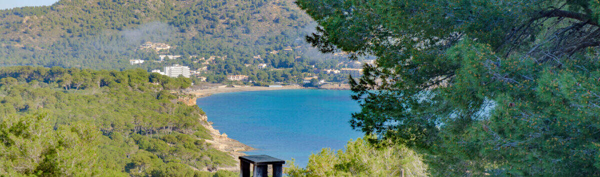 Bild zum Objekt: 768m² Grundstück in Hanglage mit Meerblick zu kaufen